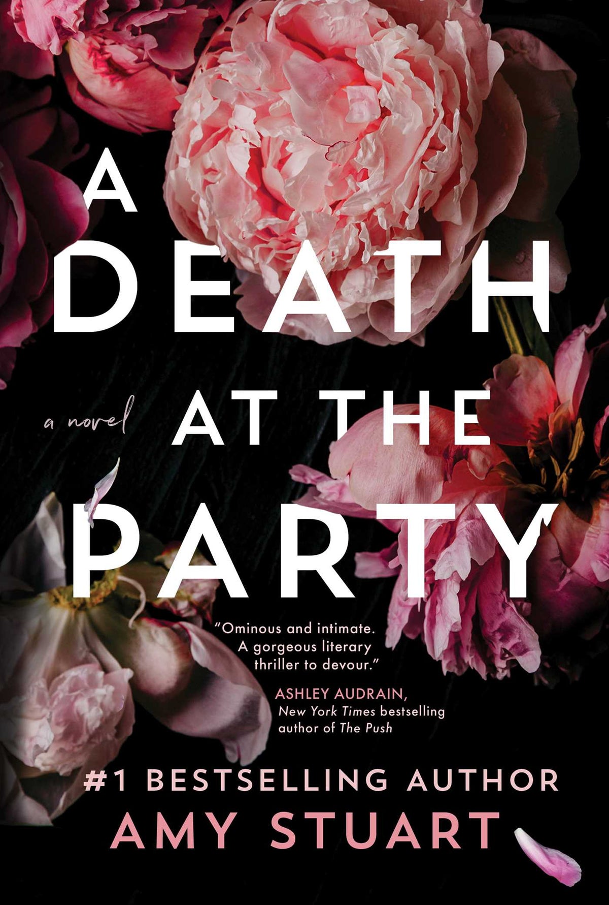 A Death at the Party: A Novel Book by Amy Stuart