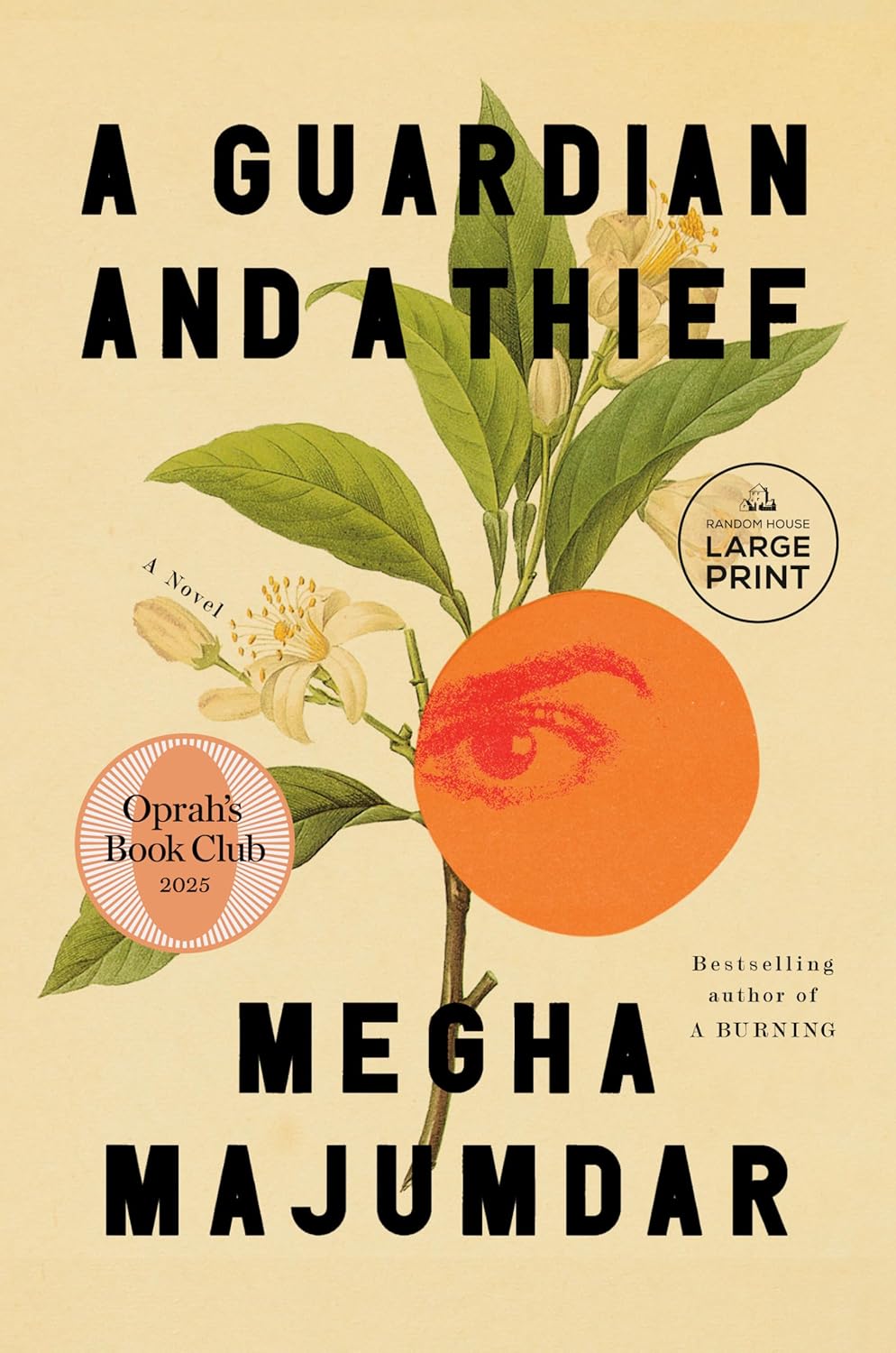 A Guardian and a Thief Novel by Megha Majumdar