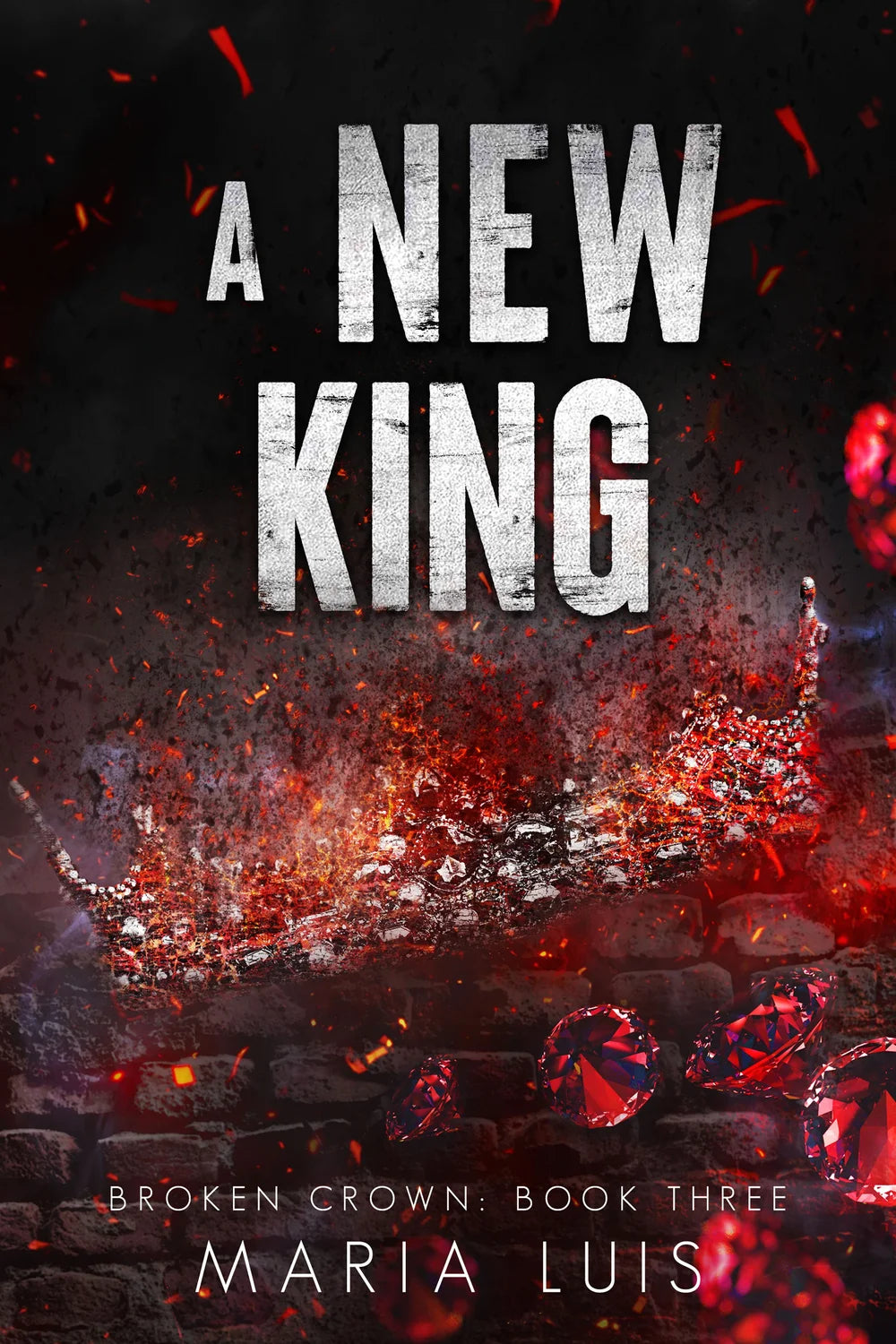 A New King (Broken Crown, #3) by Maria Luis