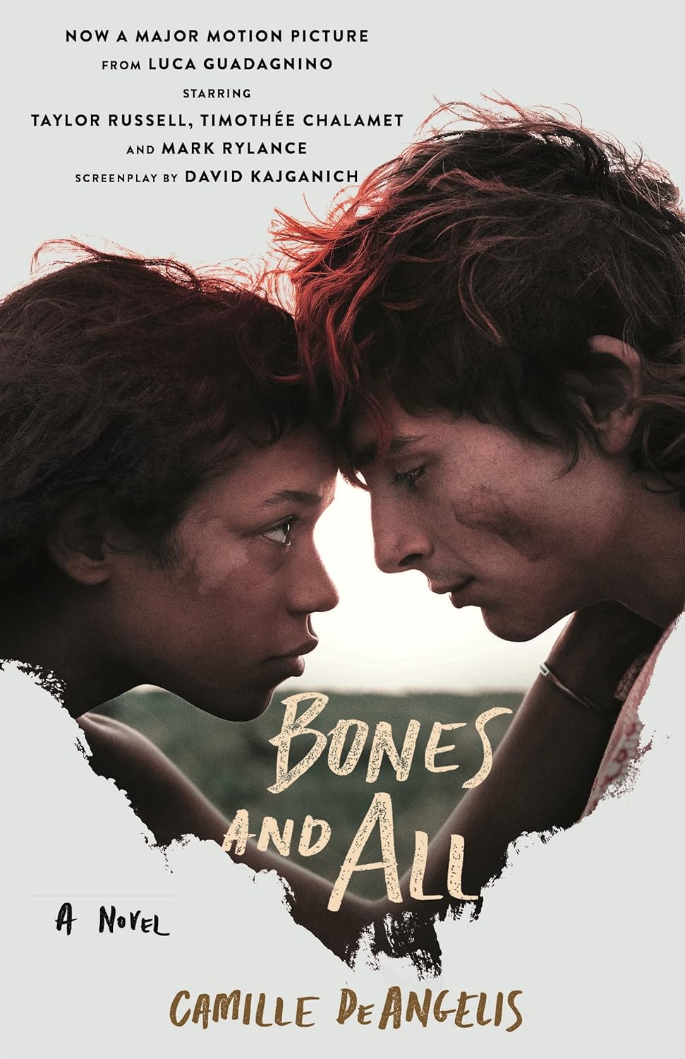 Bones & All Novel by Camille DeAngelis