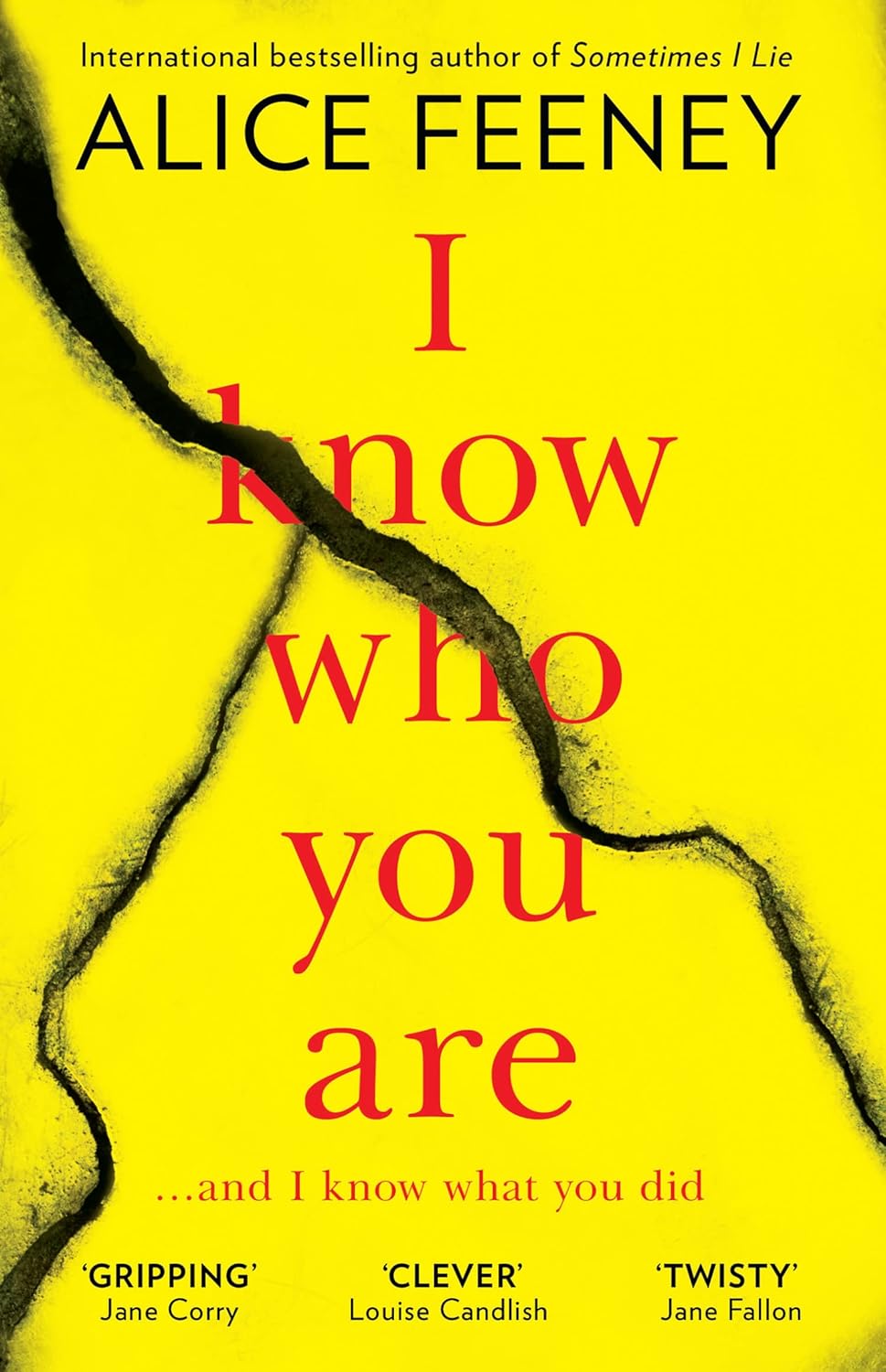 I Know Who You Are Book by Alice Feeney