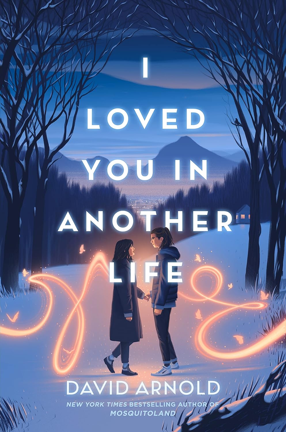 I Loved You in Another Life Book by David Arnold