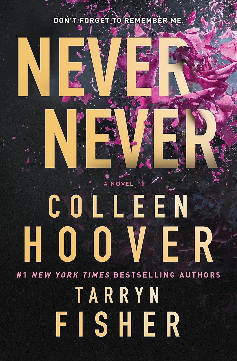 Never Never Book by Colleen Hoover