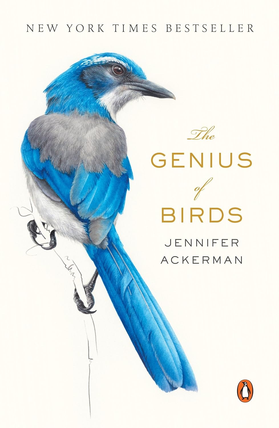 The Genius of Birds Book by Jennifer Ackerman