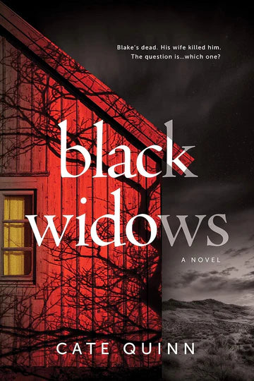 Black Widows: Keep Sweet, Obey . . . the Mormon Murder Book by Cate Quinn