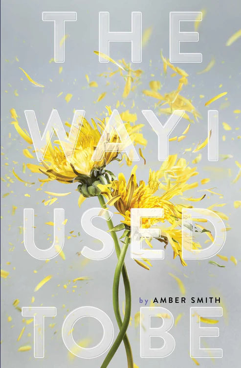 The Way I Used to Be Book by Amber Smith