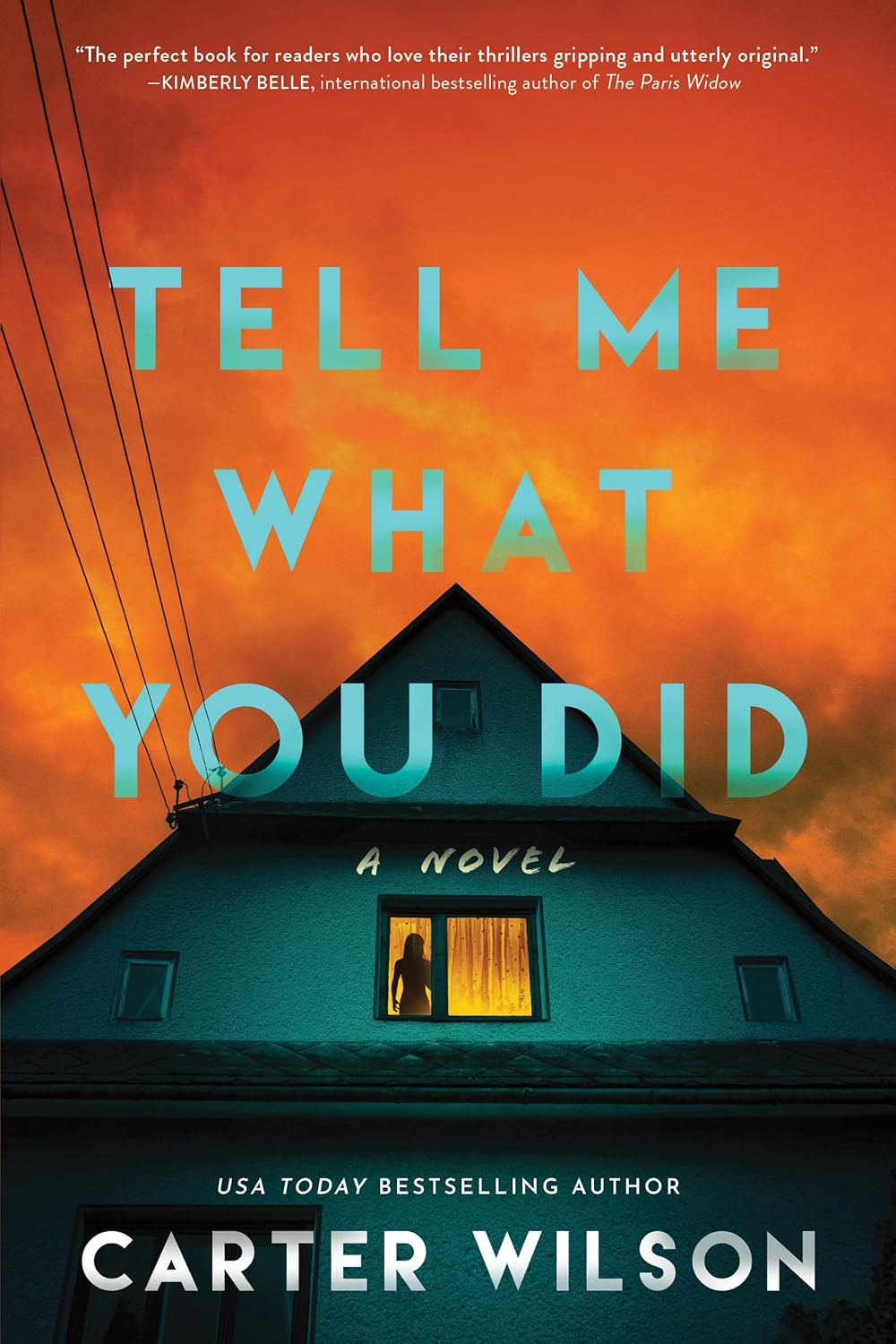 Tell Me What You Did: A Novel Book by Carter Wilson
