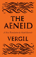 Aeneid Poem by Virgil