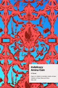 Indelicacy Novel by Amina Cain