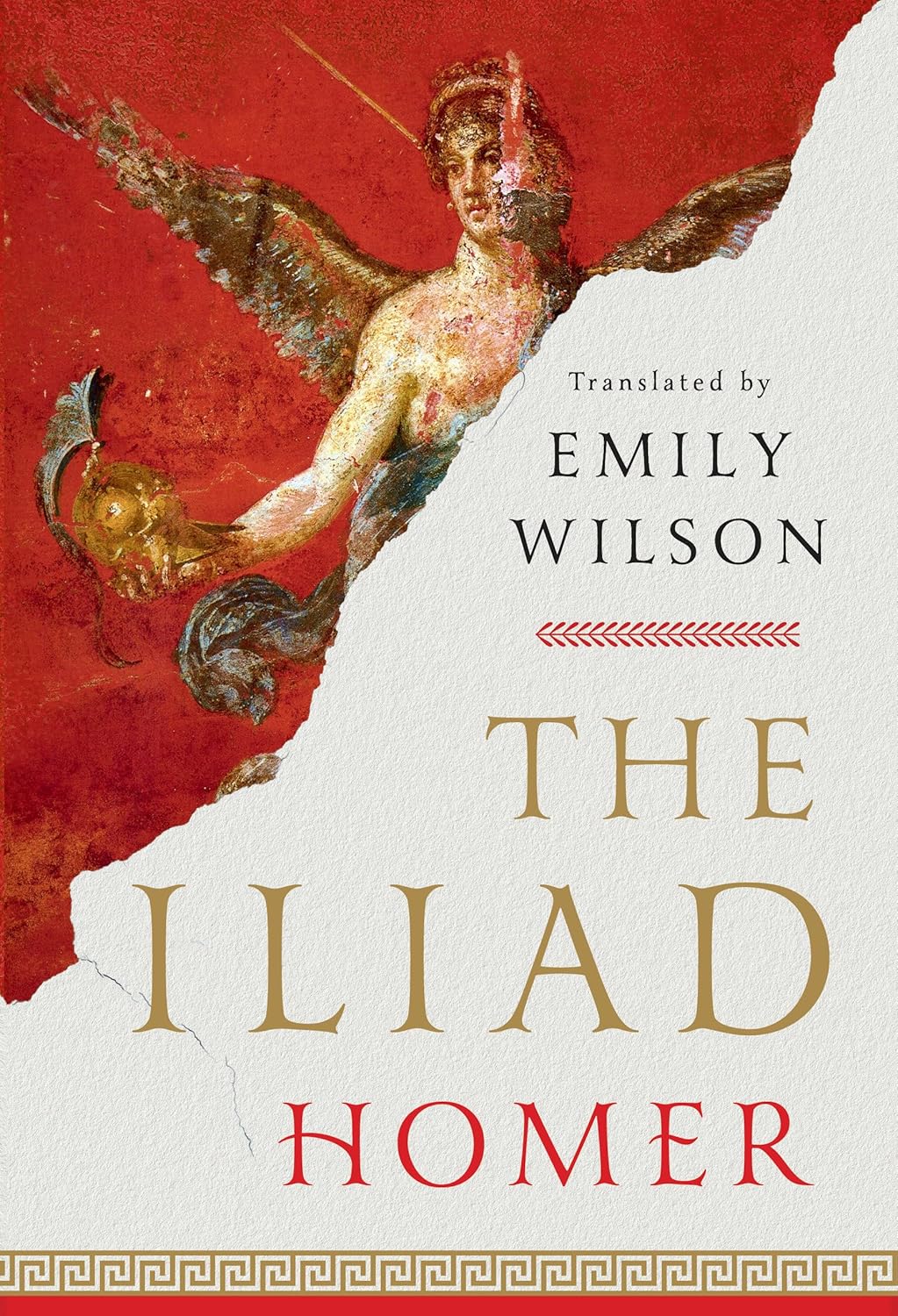 Iliad book by Homer