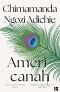 Americanah Novel by Chimamanda Ngozi Adichie