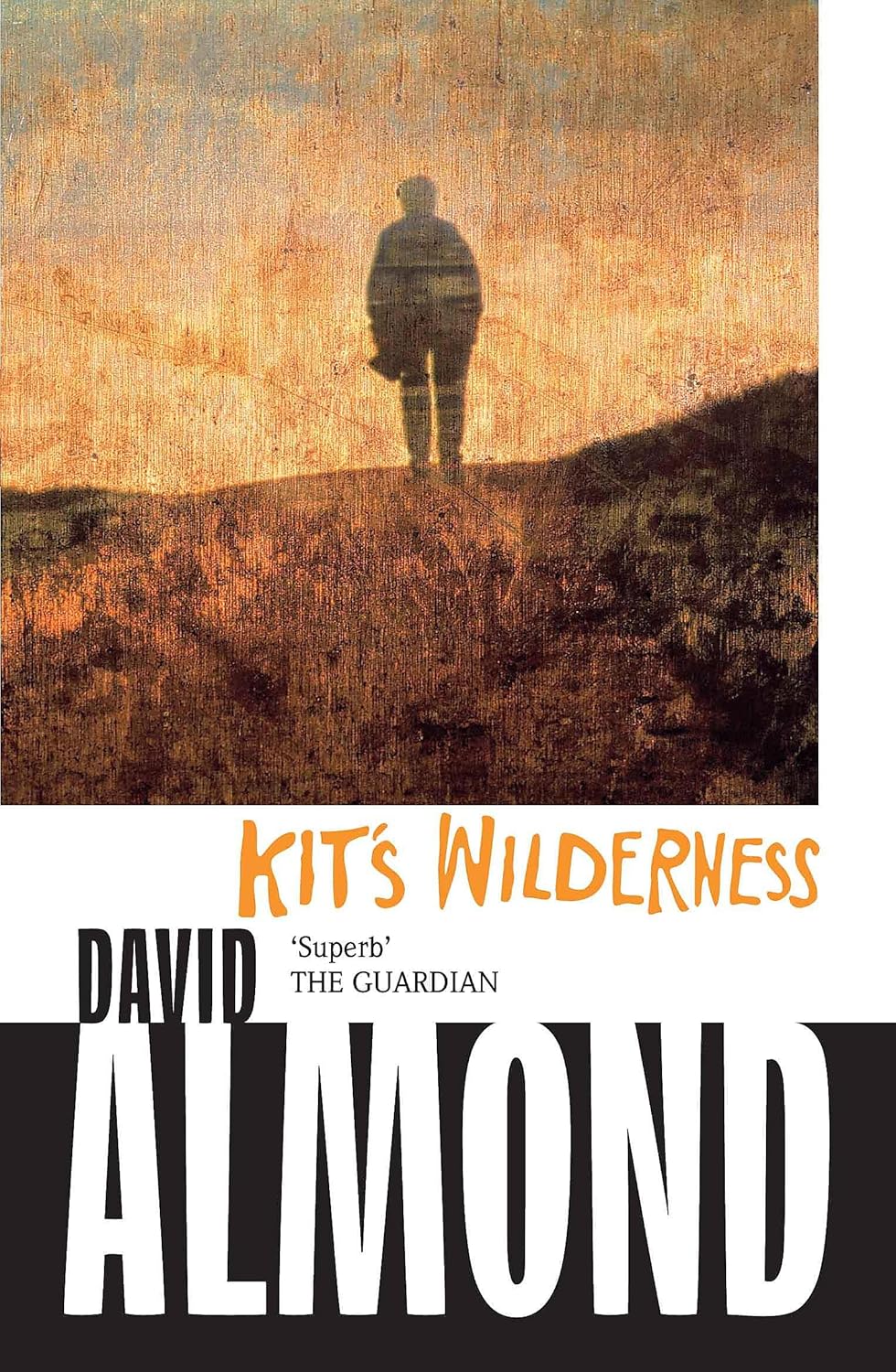 Kit's Wilderness Novel by David Almond