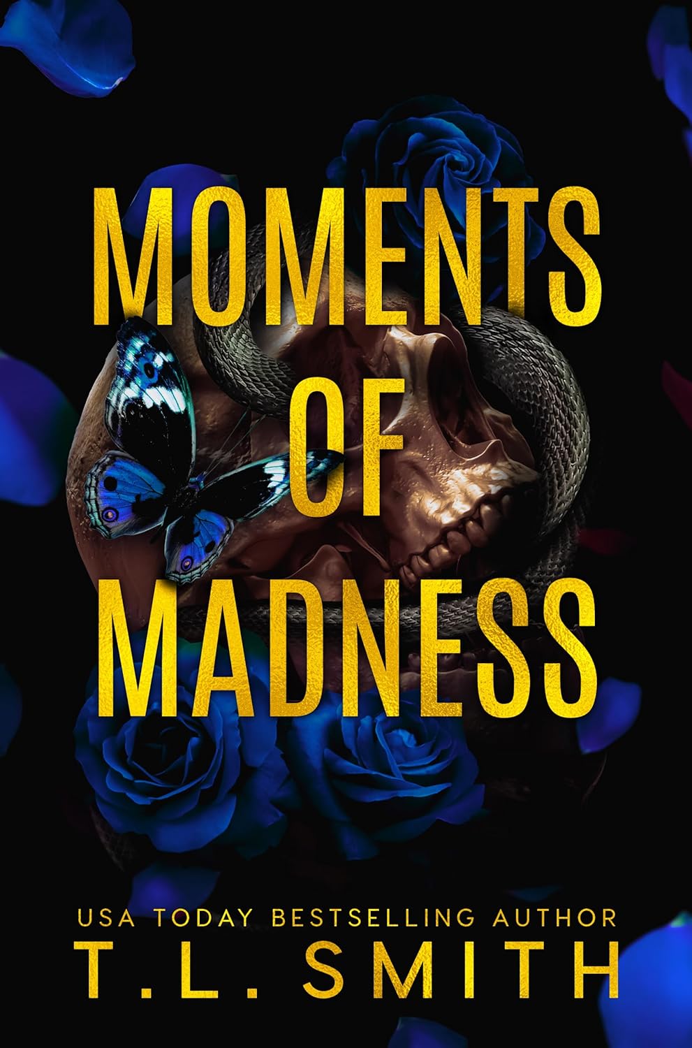 Moments of Madness Book by T.L Smith