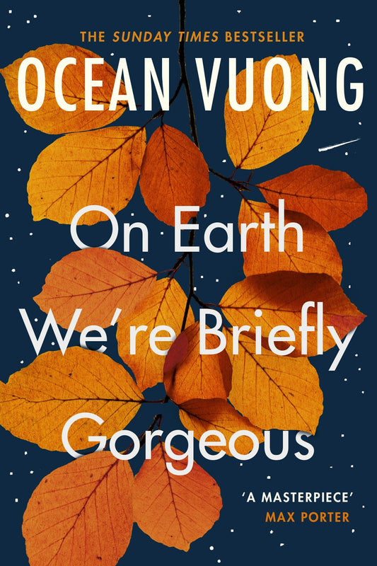 On Earth We're Briefly Gorgeous Novel by Ocean Vuong