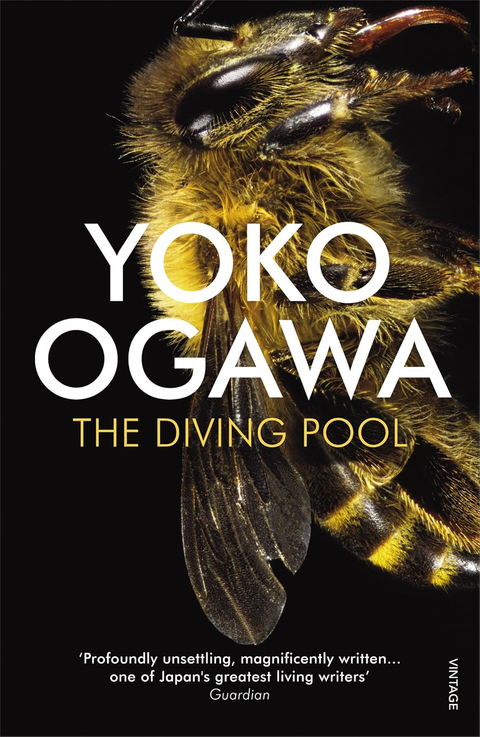 The Diving Pool Book by Y?ko Ogawa