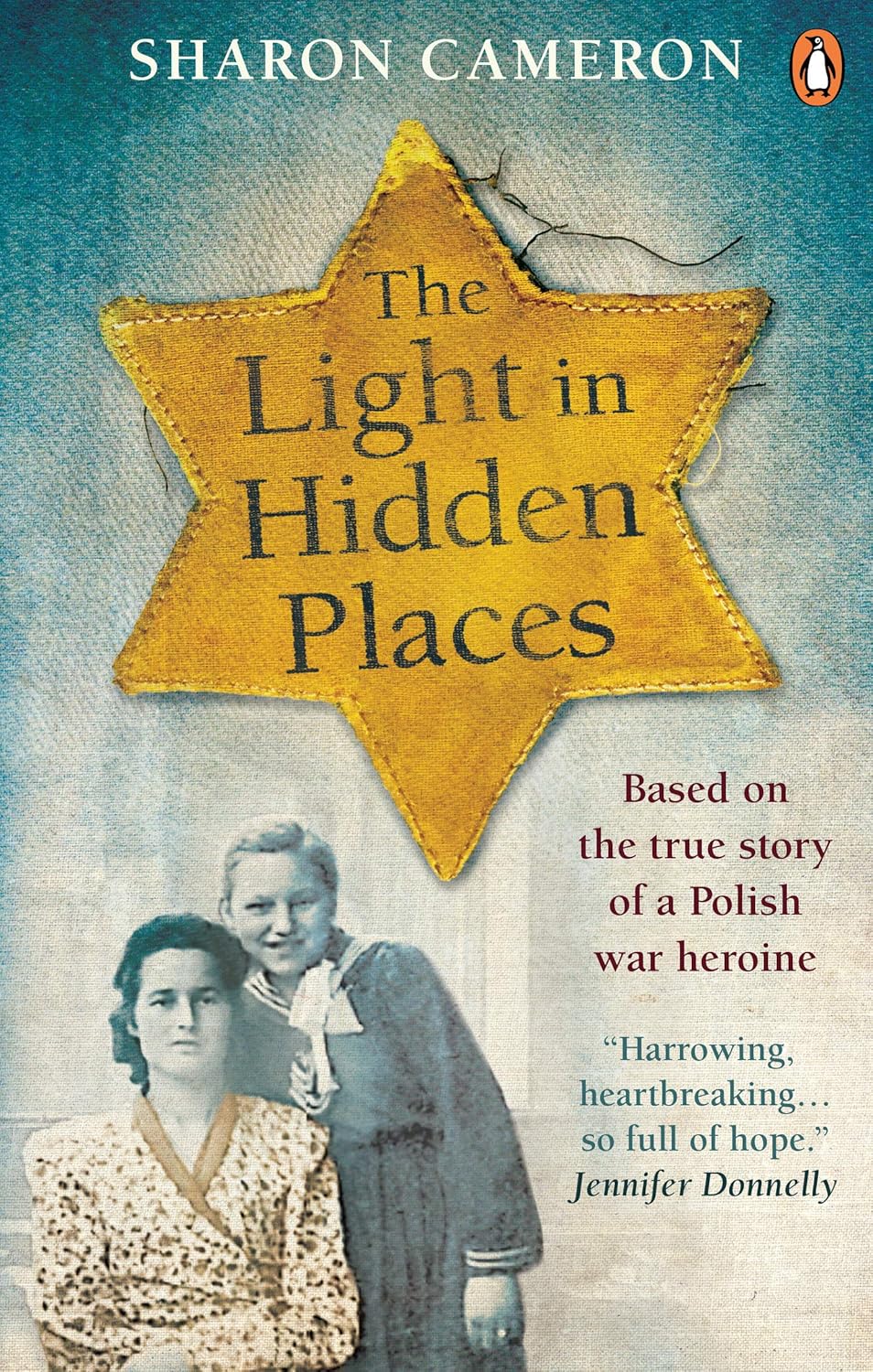 The Light in Hidden Places Book by Sharon Cameron