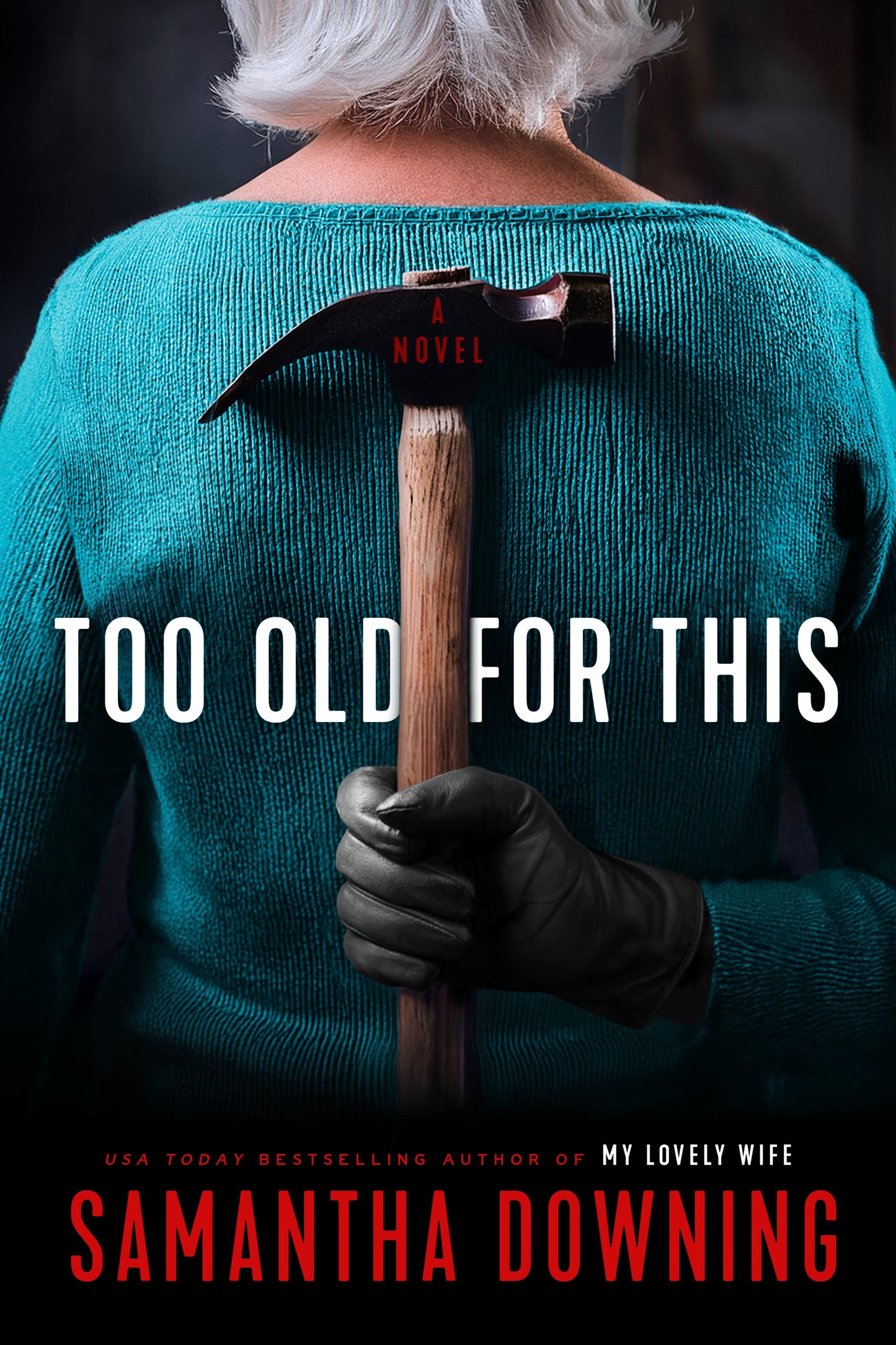 Too Old for This Book by Samantha Downing