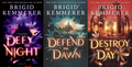 Defy the Night Series by Brigid Kemmerer